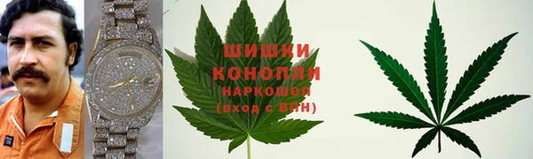 соль ск Абаза