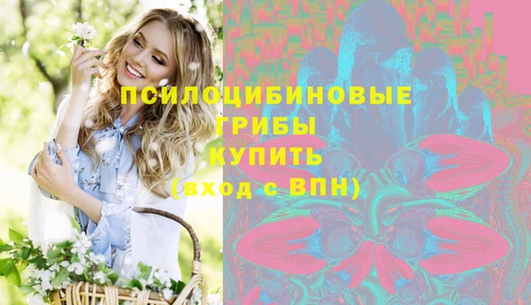 стаф Абдулино